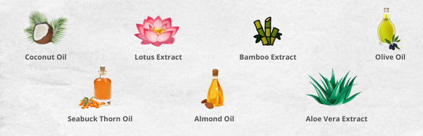 coconut oil , lotus extract , bamboo extract , olive oil , seabuck thorn oil , almond oil , aloe vera extract