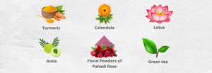 turmeric. calendula,  lotus, amla , floral powders of pahadi rose , green tea