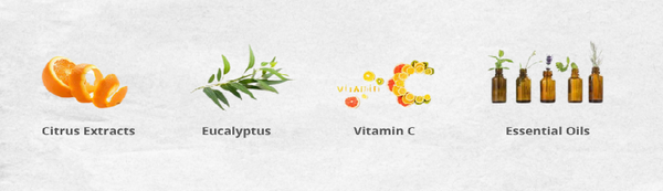 citrus extracts , eucalyptus , vitamin c , essential oils